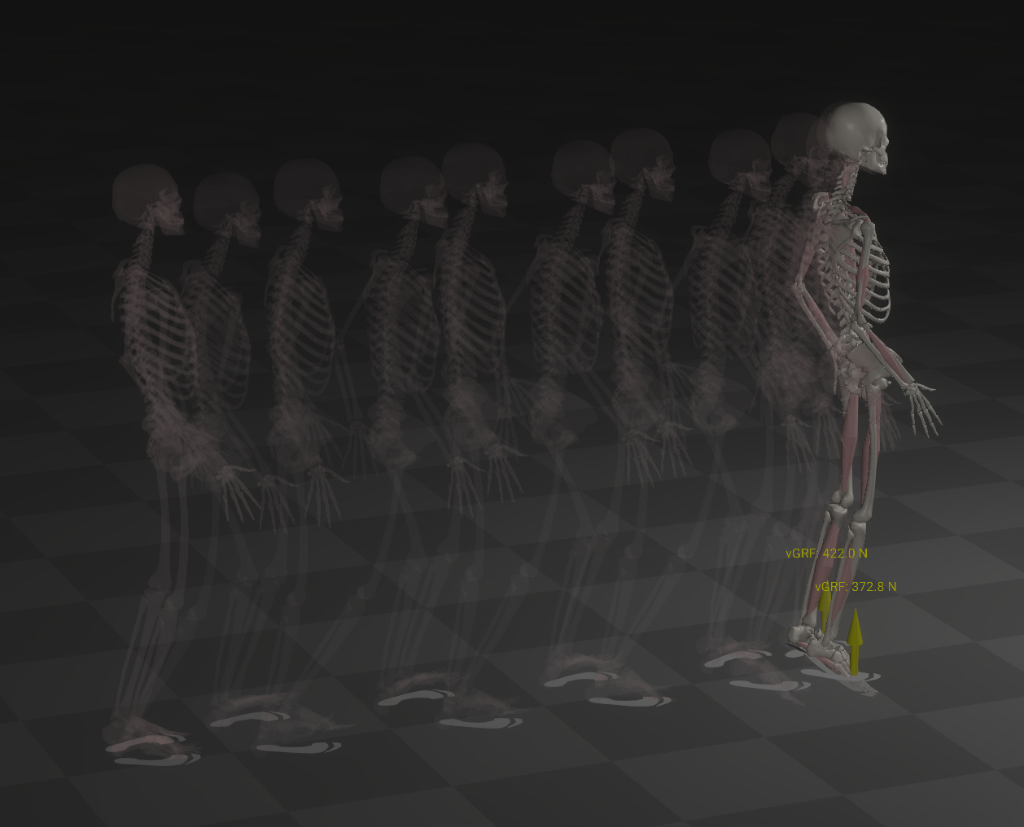Motion Analysis Visual